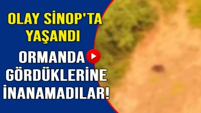 Ormanda gördükleri şaşkına çevirdi