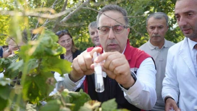 Kahverengi kokarcaya karşı 15 bin samuray arıcığı ve 300 sülün doğaya salındı