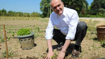 Ata tohumları toprakla buluştu