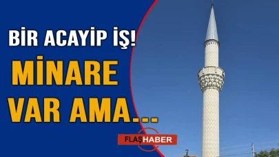 Sinop yolunda akıl almaz manzara! Görenler şaşkına döndü