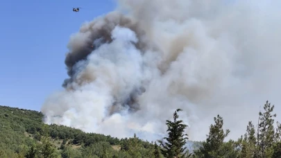 Balıkesir’deki orman yangınına müdahale ediliyor
