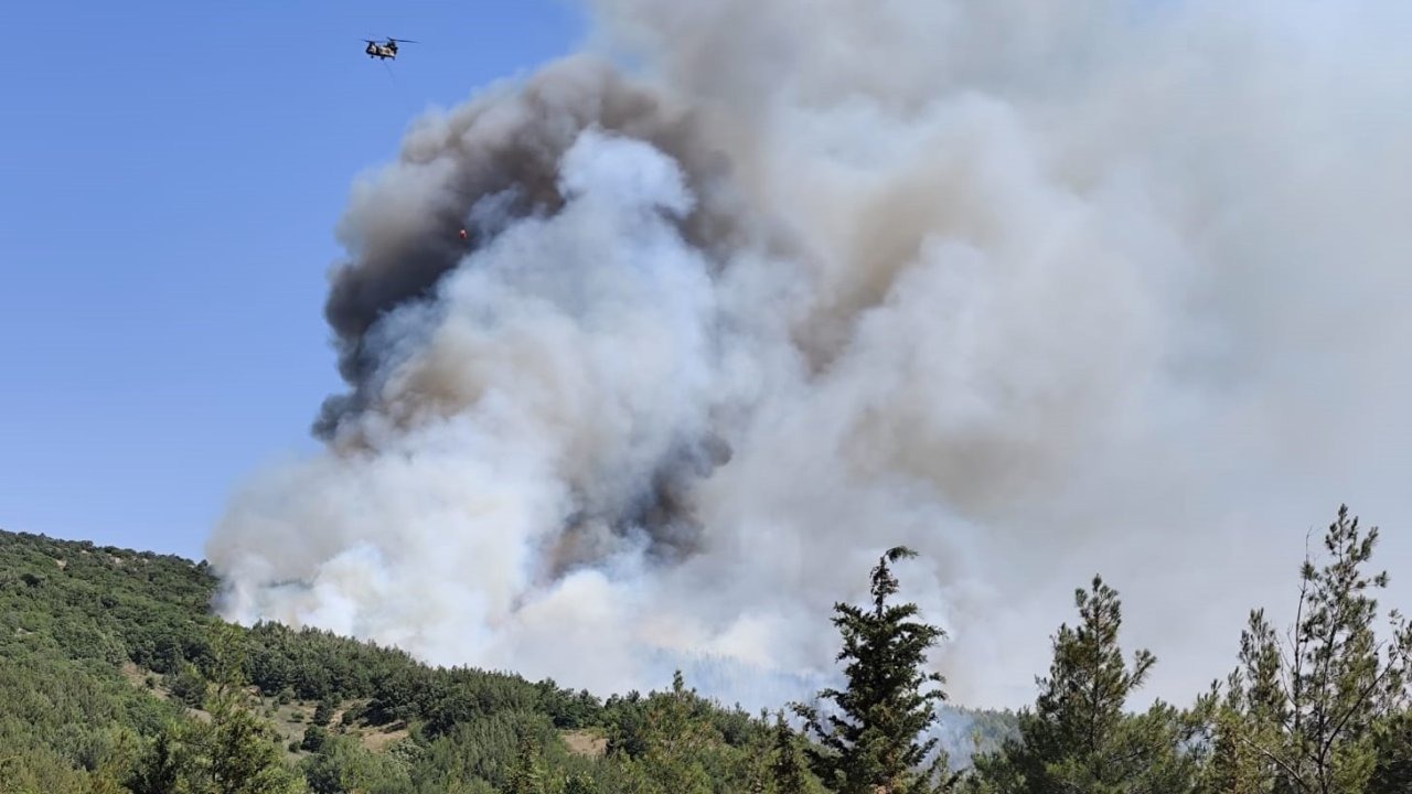 Balıkesir’deki orman yangınına müdahale ediliyor