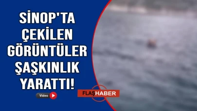 Böylesi nadir görülür!