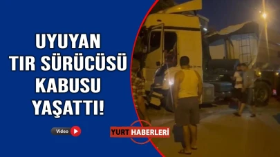 Tır sürücüsü uyudu, ortalık savaş alanına döndü