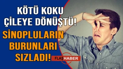 Sinop'u o malum koku sardı