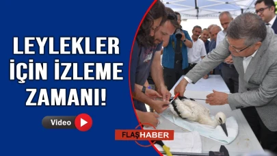 Sinop’ta 82 leylek yavrusu halkalandı