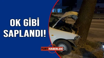 Ağaca çarparak durabildi