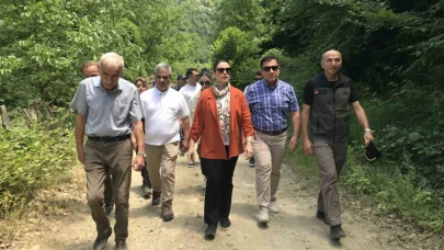 Tesadüfen bulundu, bir ili heyecan sardı