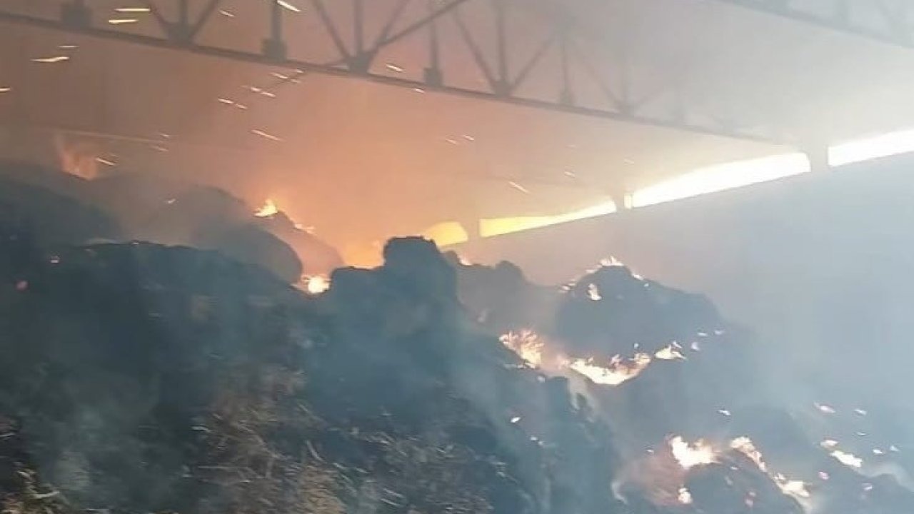 Manisa’da samanlık yangını: Binlerce balya saman kül oldu