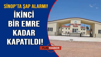 O ilçede hayvan pazarı kapatıldı!