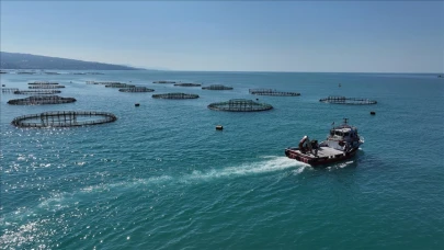 Karadeniz kıyıları Türk somonuyla ekonomiye can veriyor