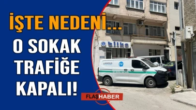 Belediye harekete geçti