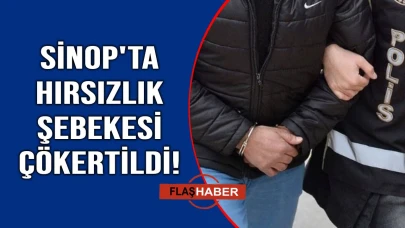 Sinop'ta hırsızlık şebekesine darbe vuruldu
