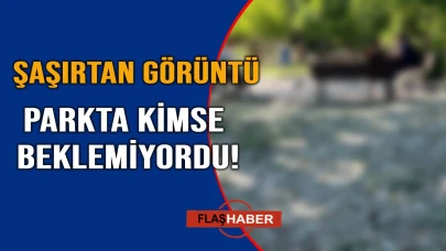 Sinop’ta beyaz bir sürpriz