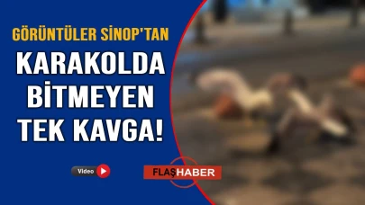 Sinop'un en eğlenceli kavgası!