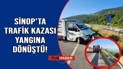 Araç bariyerlere çarptı, otluk alanda yangın çıktı