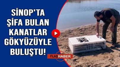Özgürlüğe kanat çırptılar