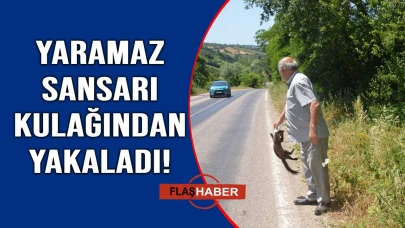Sinop'ta kazaya kurban gitti