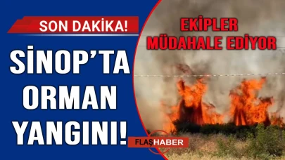 Ormanlık alanda korkutan yangın! Ekipler müdahale ediyor