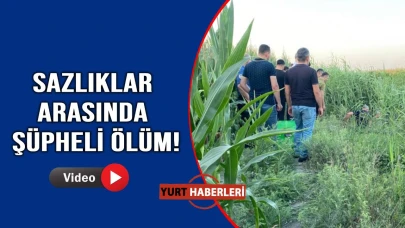 Hemen ekiplere haber verdiler