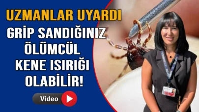 Uzmanlar uyardı: "Grip sandığınız ölümcül kene ısırığı olabilir"