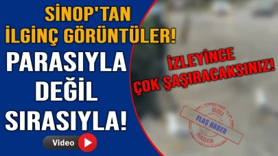 Sanki eğitim almışlar