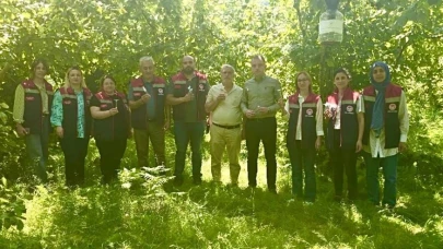 Rize’de kahverengi kokarcaya karşı 50 bin adet samuray doğaya salındı