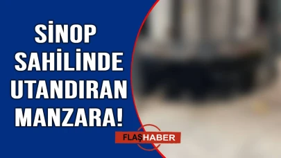 Sinop'a gelen misafirler bakın ne ile karşılaşıyor