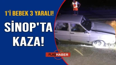 Sinop'ta direksiyon hakimiyetini kaybeden araç yoldan çıktı