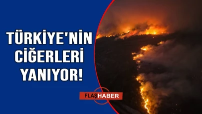 Ormanlık alanlarda çıkan yangınlara havadan ve karadan müdahale ediliyor