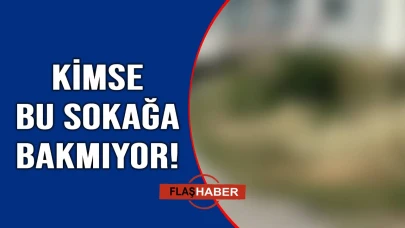 Sanki kaderine terk edilmiş