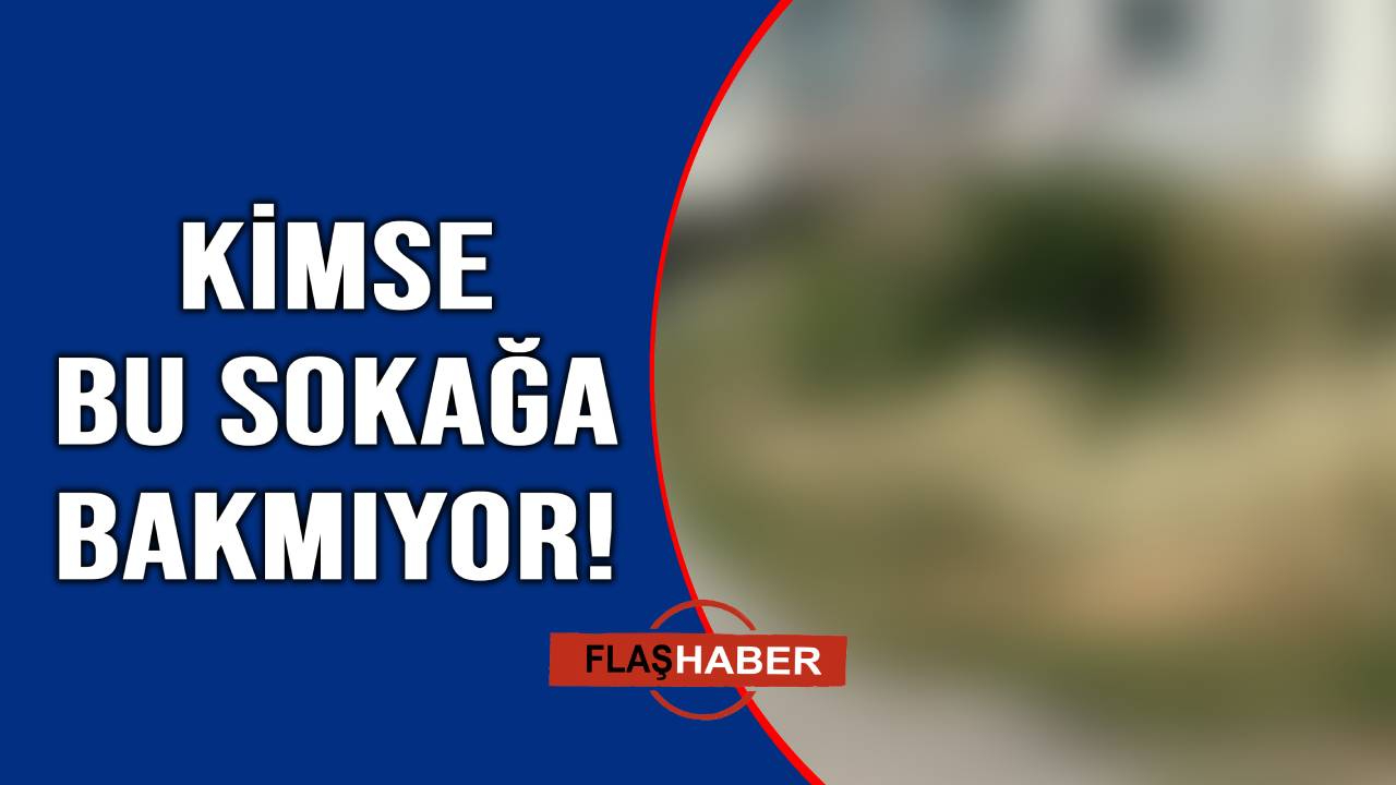 Sanki kaderine terk edilmiş