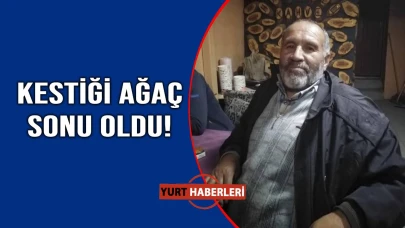 Kestiği ağacın altında feci şekilde can verdi