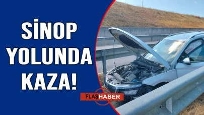 Köpeğe çarpmamak için manevra yapınca kaza yaptı