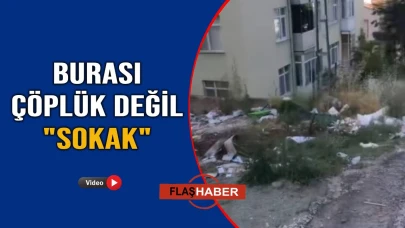 Sokak çöplüğe döndü, vatandaş isyan etti!