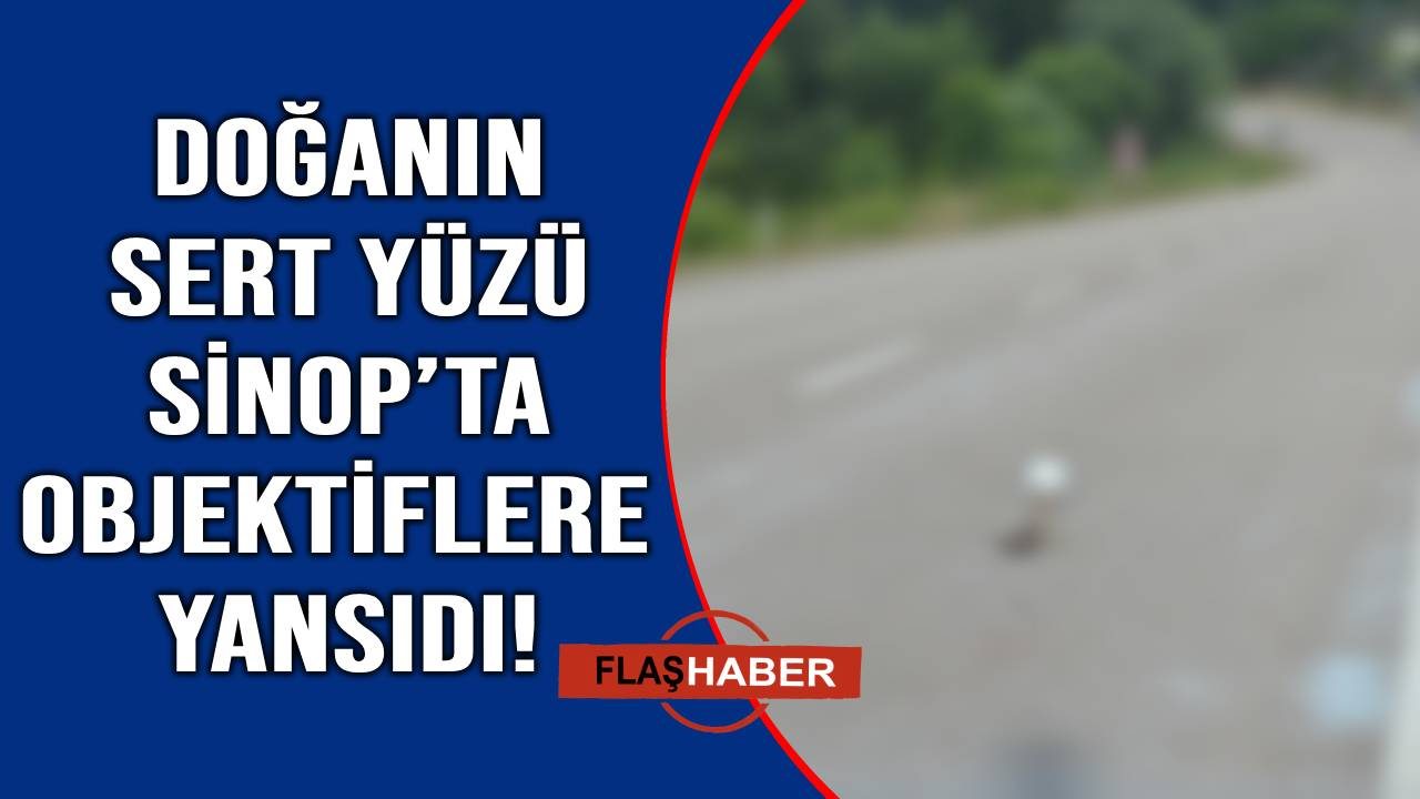 Bir canlının sonu, diğerinin besini oldu
