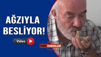 Yavru kuşun sessiz çığlığına Yusuf Amca cevap verdi