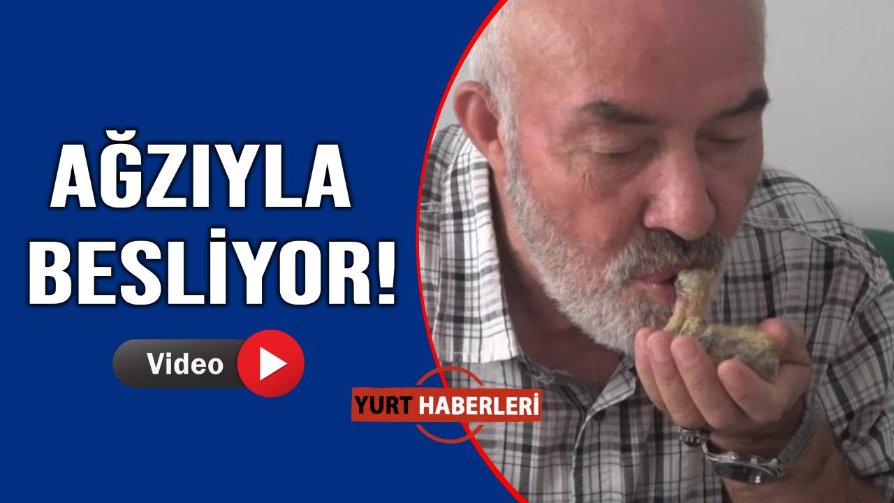 Yavru kuşun sessiz çığlığına Yusuf Amca cevap verdi