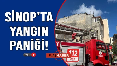 Sinop'ta bacada çıkan yangın paniğe neden oldu