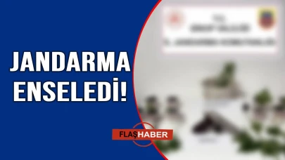 Bir türlü akıllanmıyorlar!