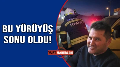 Yol kenarında yürürken ezildi