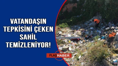 Sinop Tophane sahilinde kapsamlı temizlik çalışması!