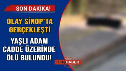 Yaşlı adam sokakta ölü bulundu