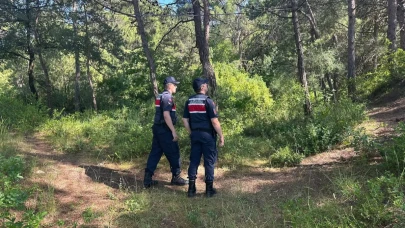 Jandarma orman yangınlarına karşı teyakkuzda