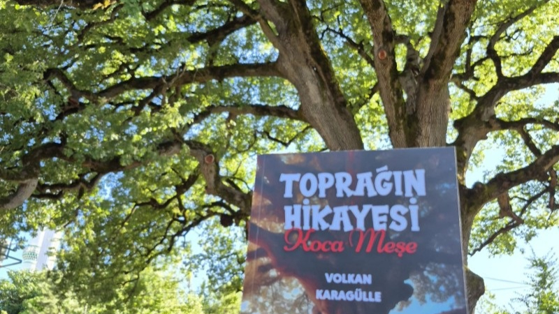 Türkelili öğretmen Koca Meşe'yi yazdığı kitapla ölümsüzleştirdi