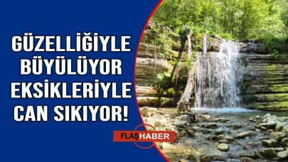 Ziyaretçi artıyor, hizmet yerinde sayıyor