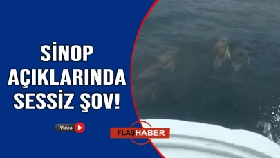 Sinop'ta mest eden görüntüler