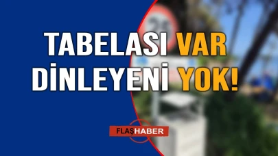 Bunu adı vurdumduymazlık!