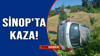 Otomobil ağaçlık alana devrildi: 3 kişi hastanelik oldu!