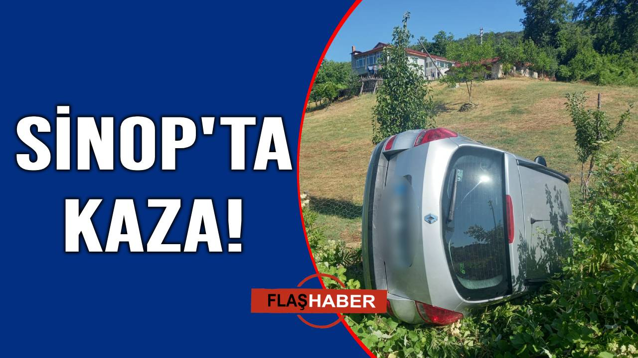 Otomobil ağaçlık alana devrildi: 3 kişi hastanelik oldu!